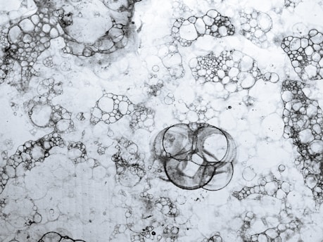 a black and white photo of bubbles in water
