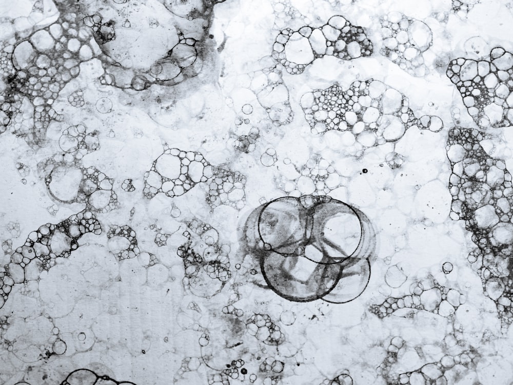 a black and white photo of bubbles in water