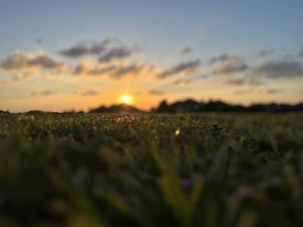 the sun is setting over a field of grass