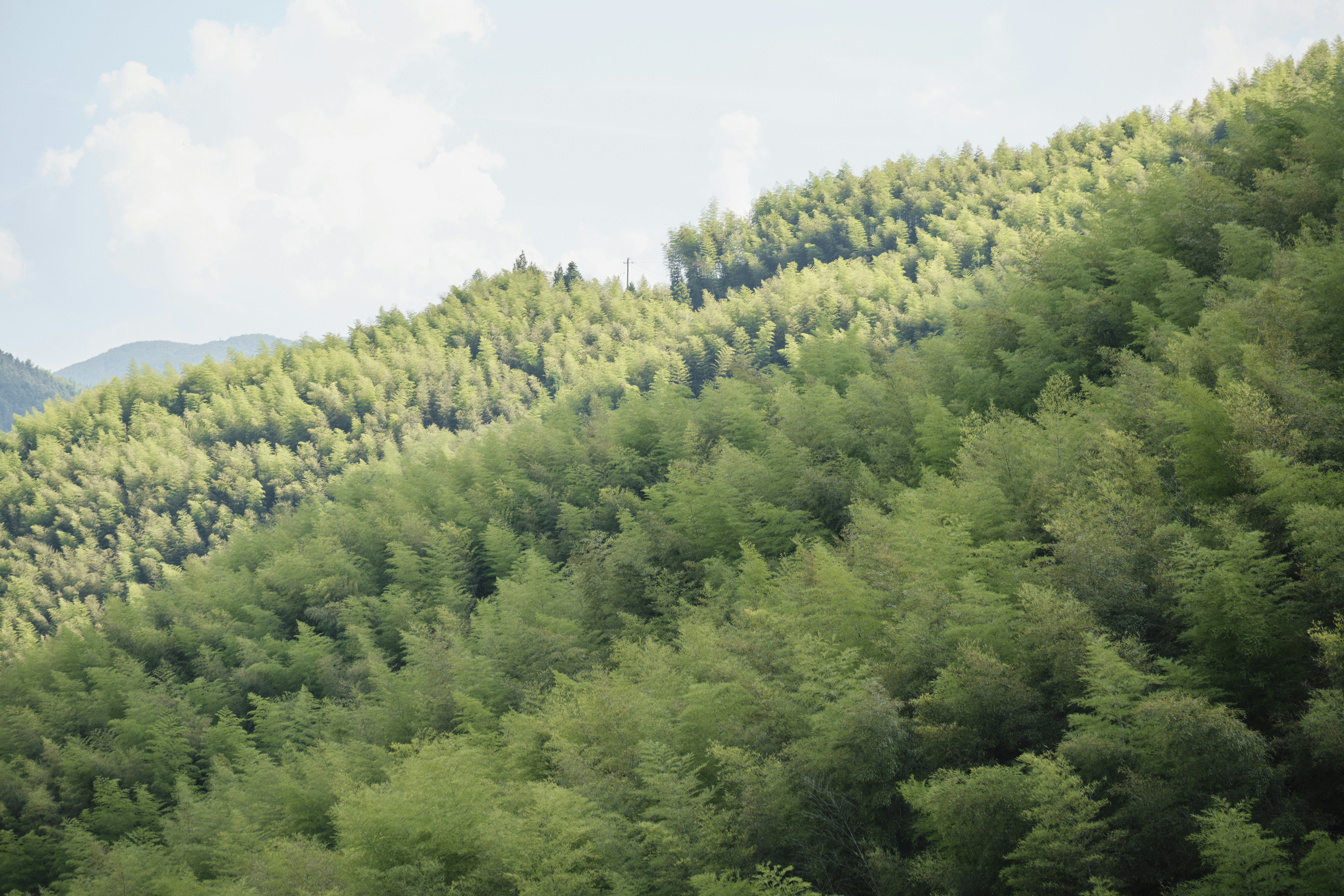 Photo by xyb_1282360911