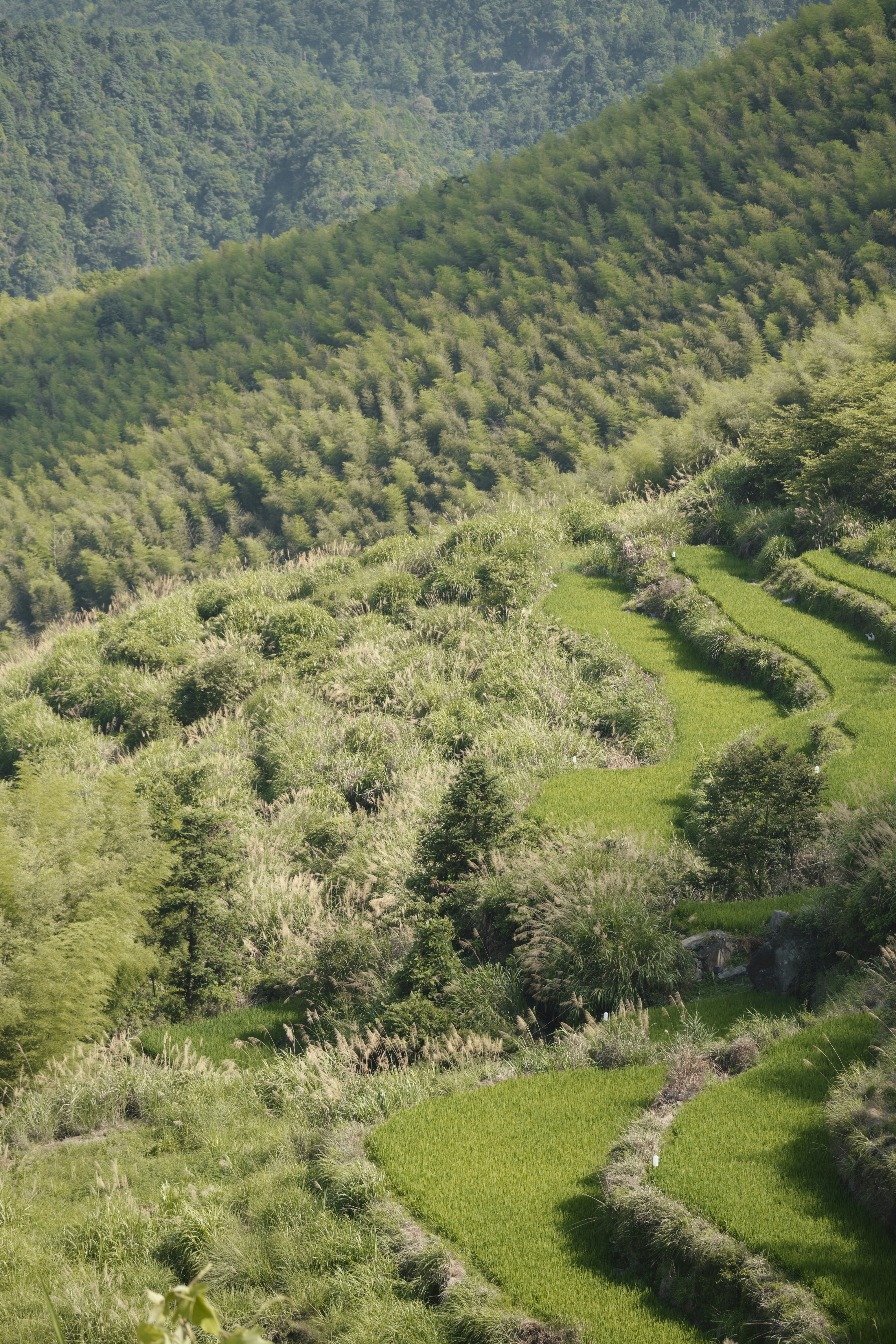 Photo by xyb_1282360911