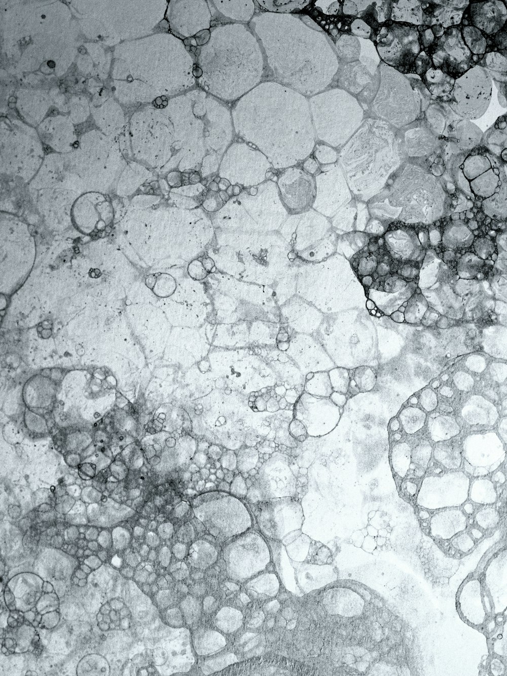 a black and white photo of water bubbles