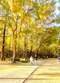 Guests enjoying a peaceful morning walk along a nearby forest trail bathed in golden light.