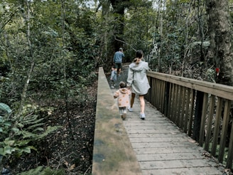 A small group crossing a wooden bridge in a lush alpine valley during a guided tour.