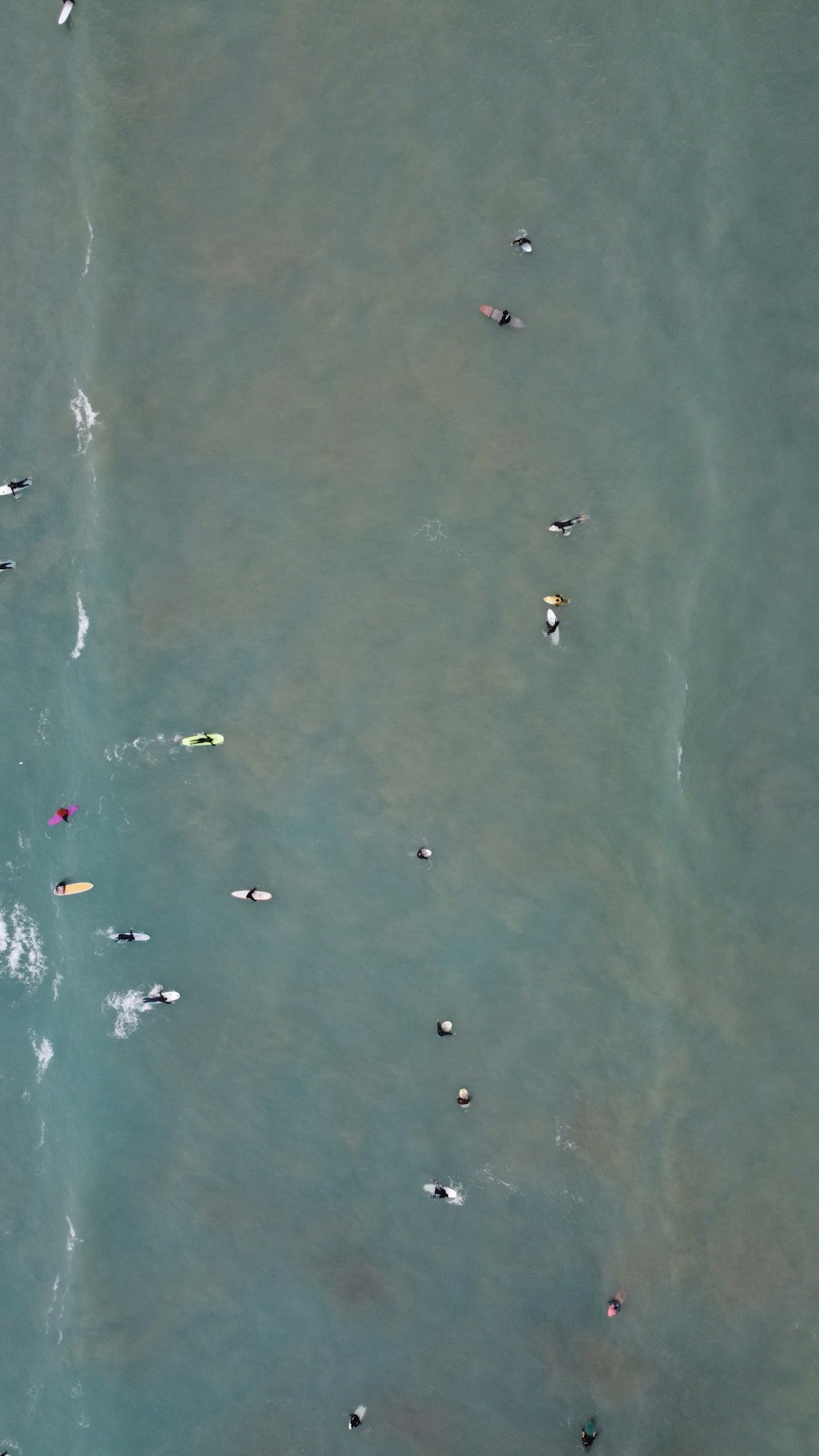 a group of people swimming in a body of water