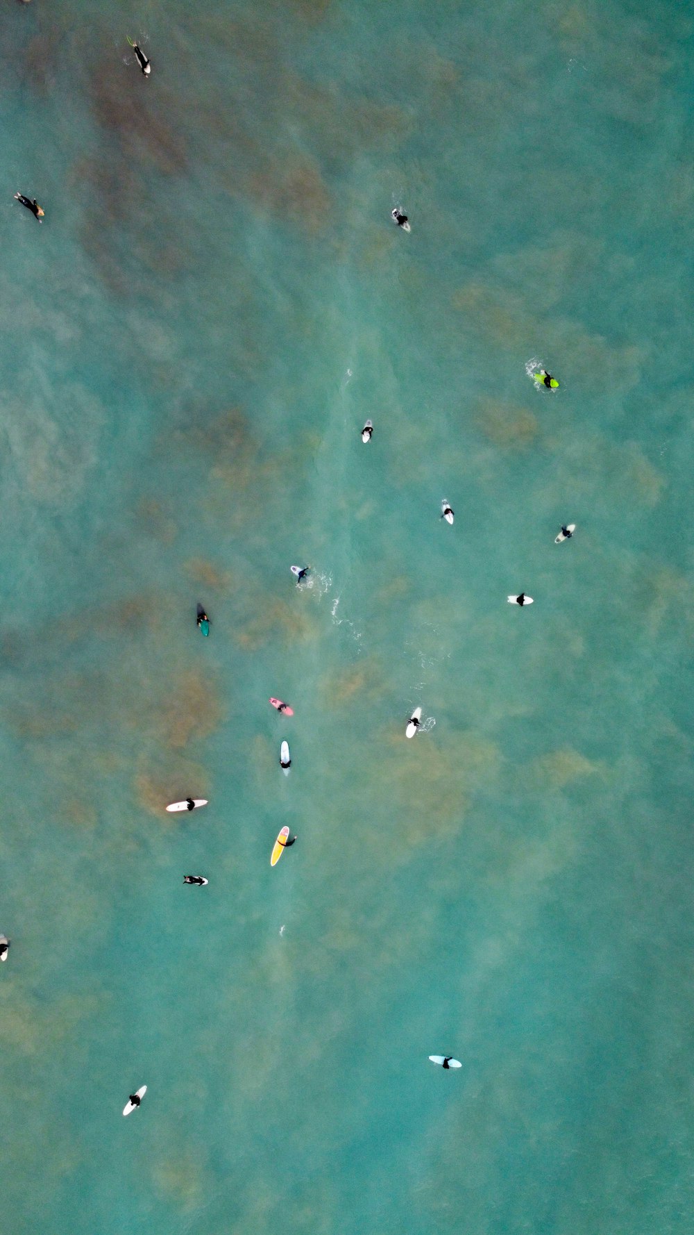a group of people in the water with surfboards