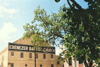 A light-colored building with a sign that reads 'Ebenezer Baptist Church' is partially obscured by a leafy tree. The structure is set against a clear blue sky, evoking a serene and sunny day. Multiple small rectangular windows can be seen on the building's facade.