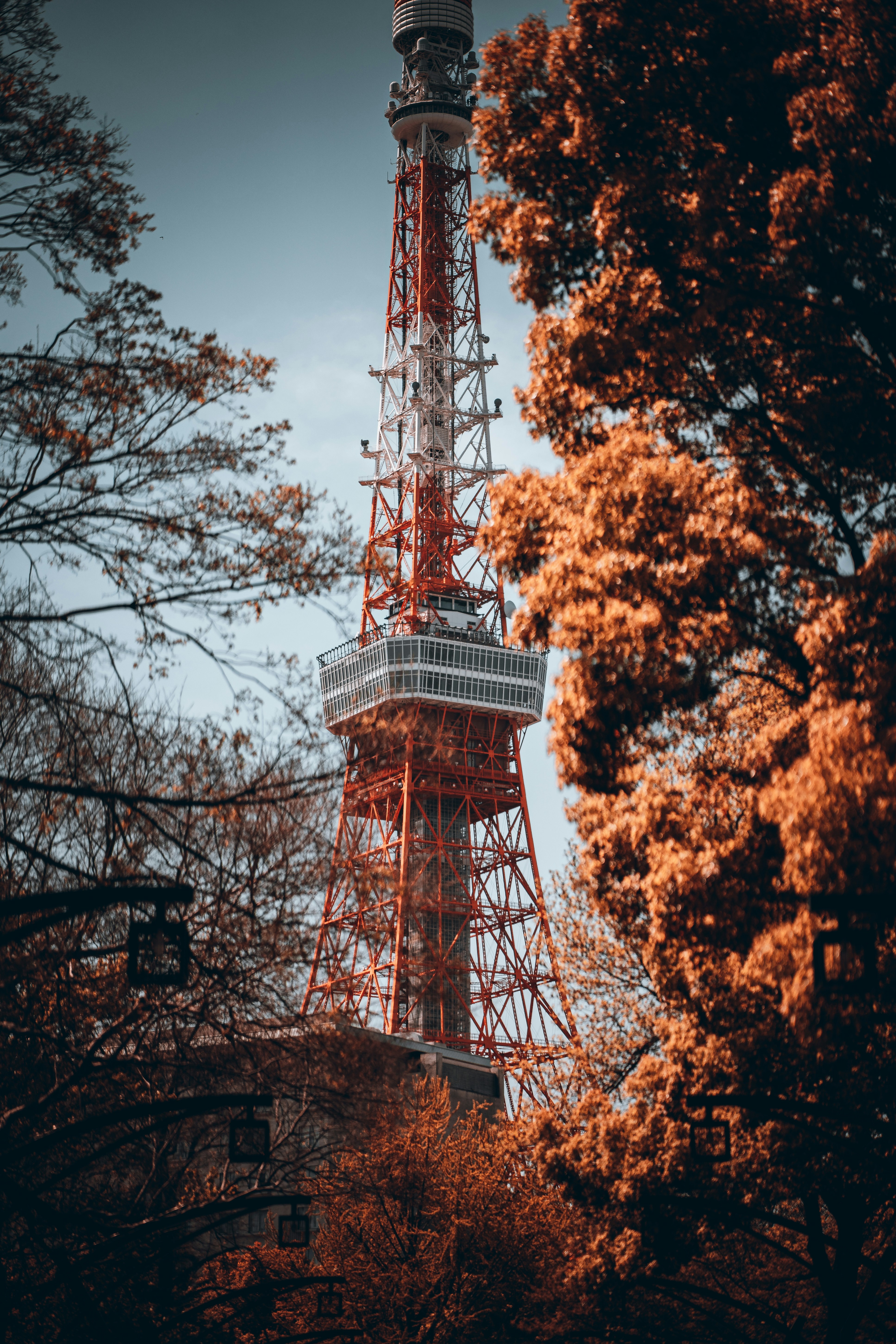 Photo by shields_mcmxcix