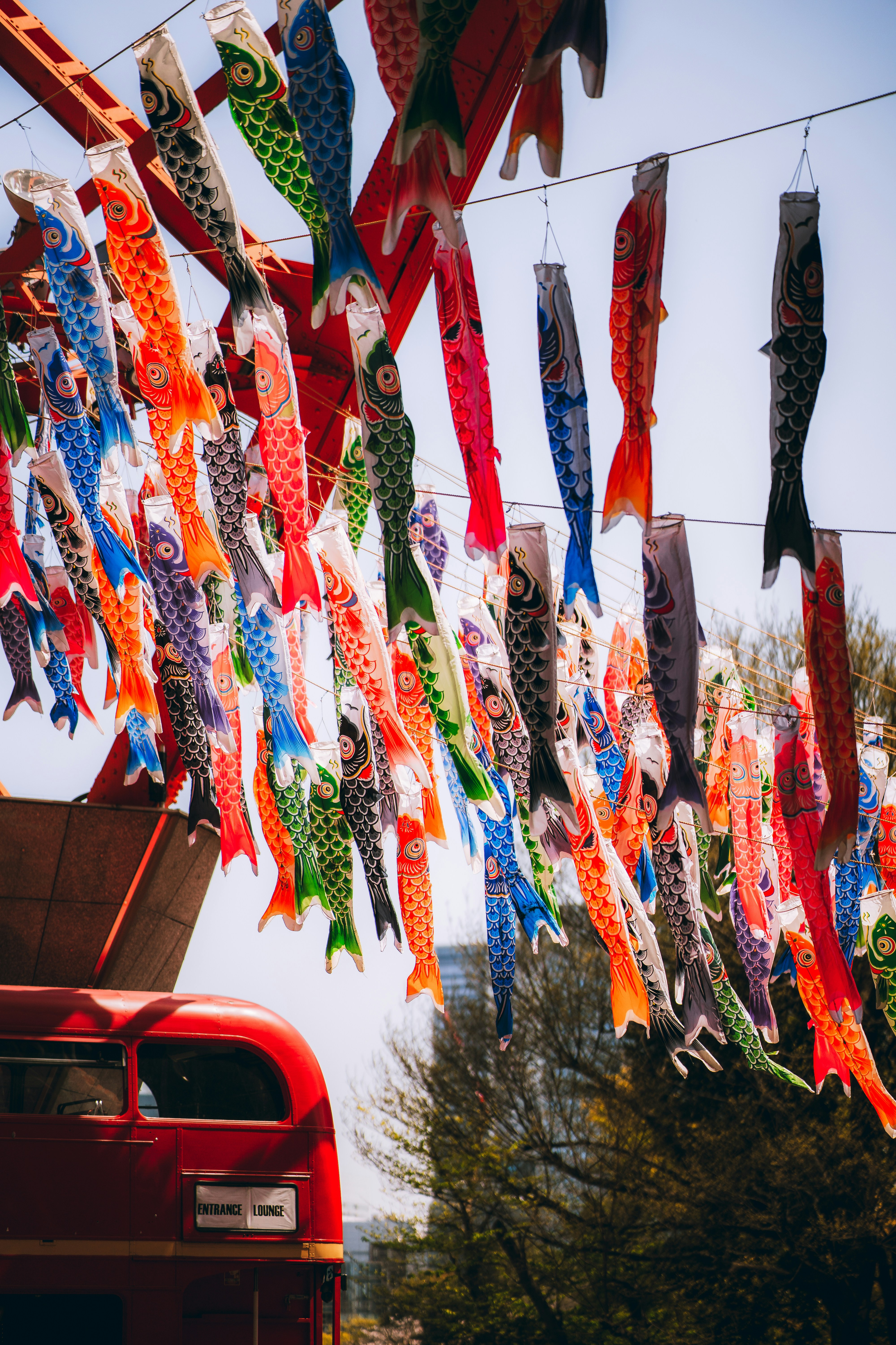 Photo by shields_mcmxcix