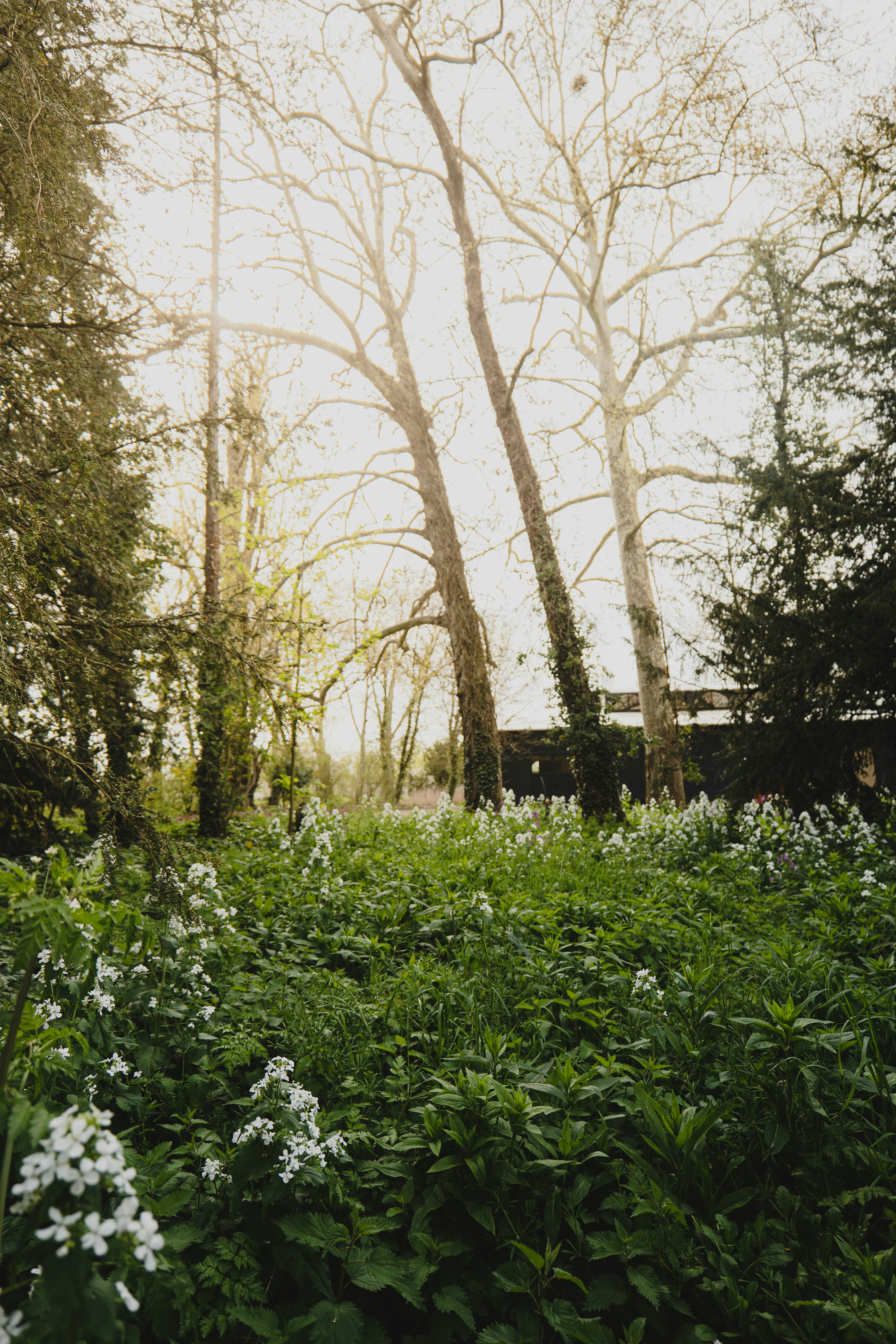 Protect Your Brain: Heart Health Matters for MS Patients