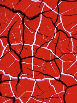 The image depicts a close-up view of cracked red earth or a similar surface, featuring deep and irregular black fissures and bright white highlights emphasizing the texture.