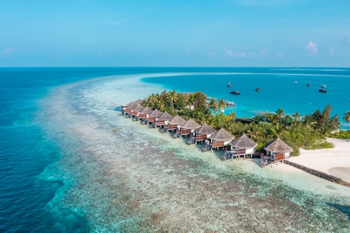 A serene tropical scene featuring overwater bungalows lined along a pristine beach with clear turquoise waters. Lush palm trees accompany the bungalows, creating a picturesque and tranquil vacation setting. The ocean extends into the horizon, displaying vibrant shades of blue and creating a perfect backdrop.