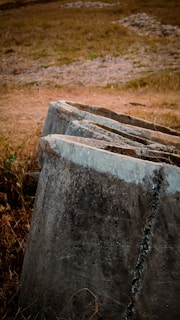 A series of large, weathered concrete blocks are arranged at an angle in a grassy area. The blocks have a rough texture and are showing signs of aging. The ground is covered in dry grass, suggesting a setting in a dry or arid location.