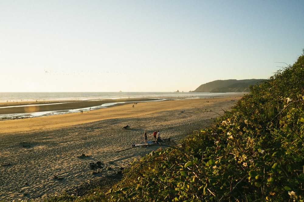 a group of people standing on top of a sandy beach