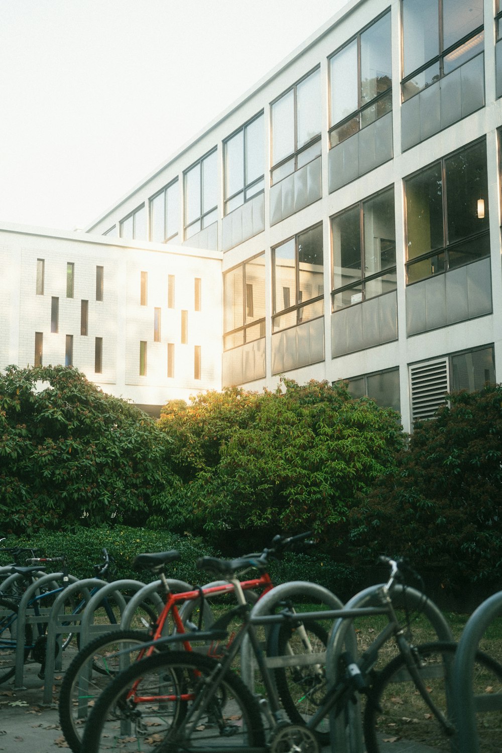 a bunch of bikes parked in front of a building