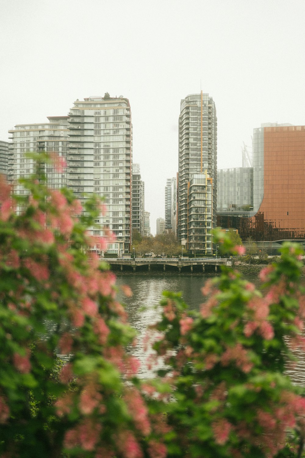 a body of water surrounded by tall buildings