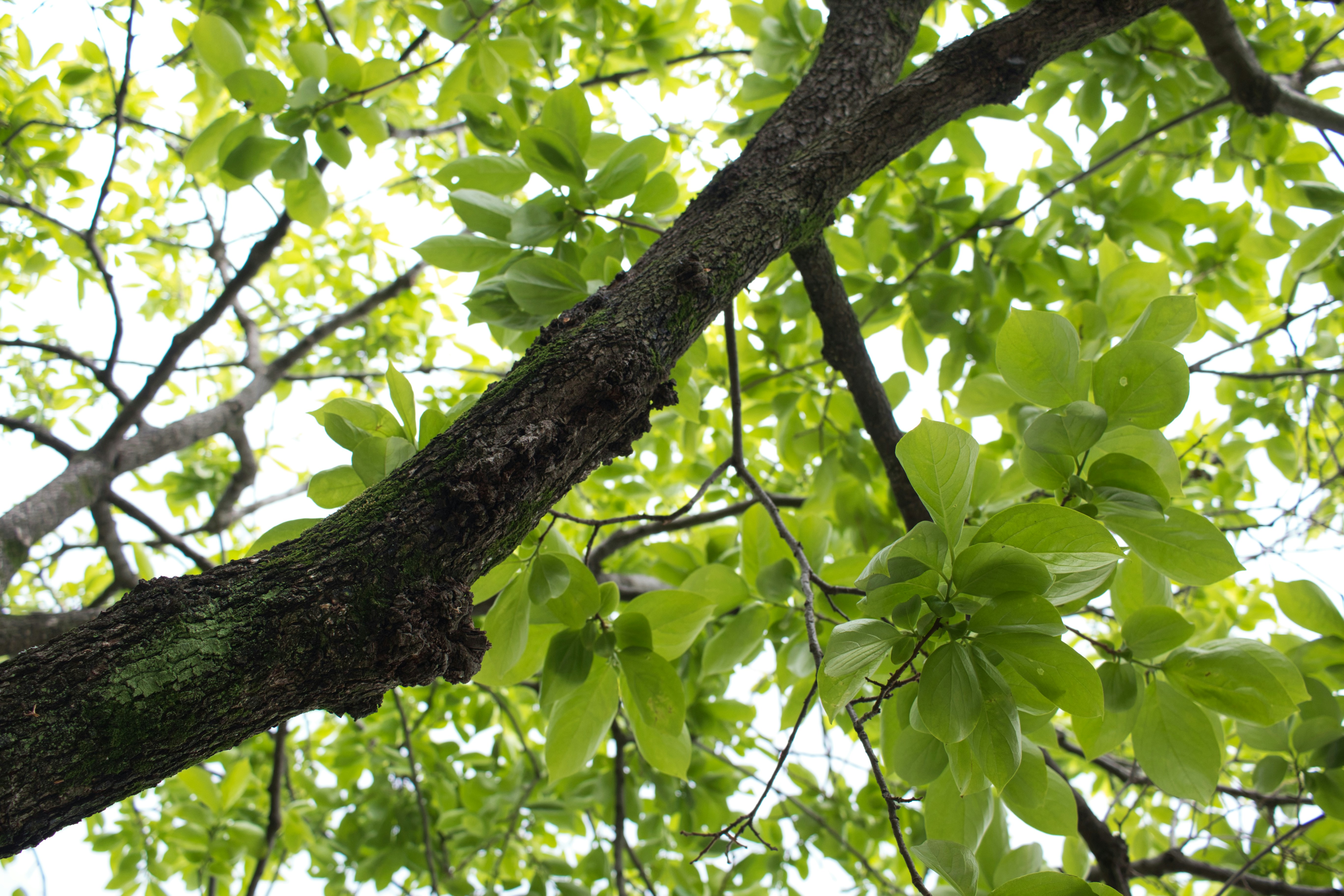 Photo by mcgrapher_enterprises