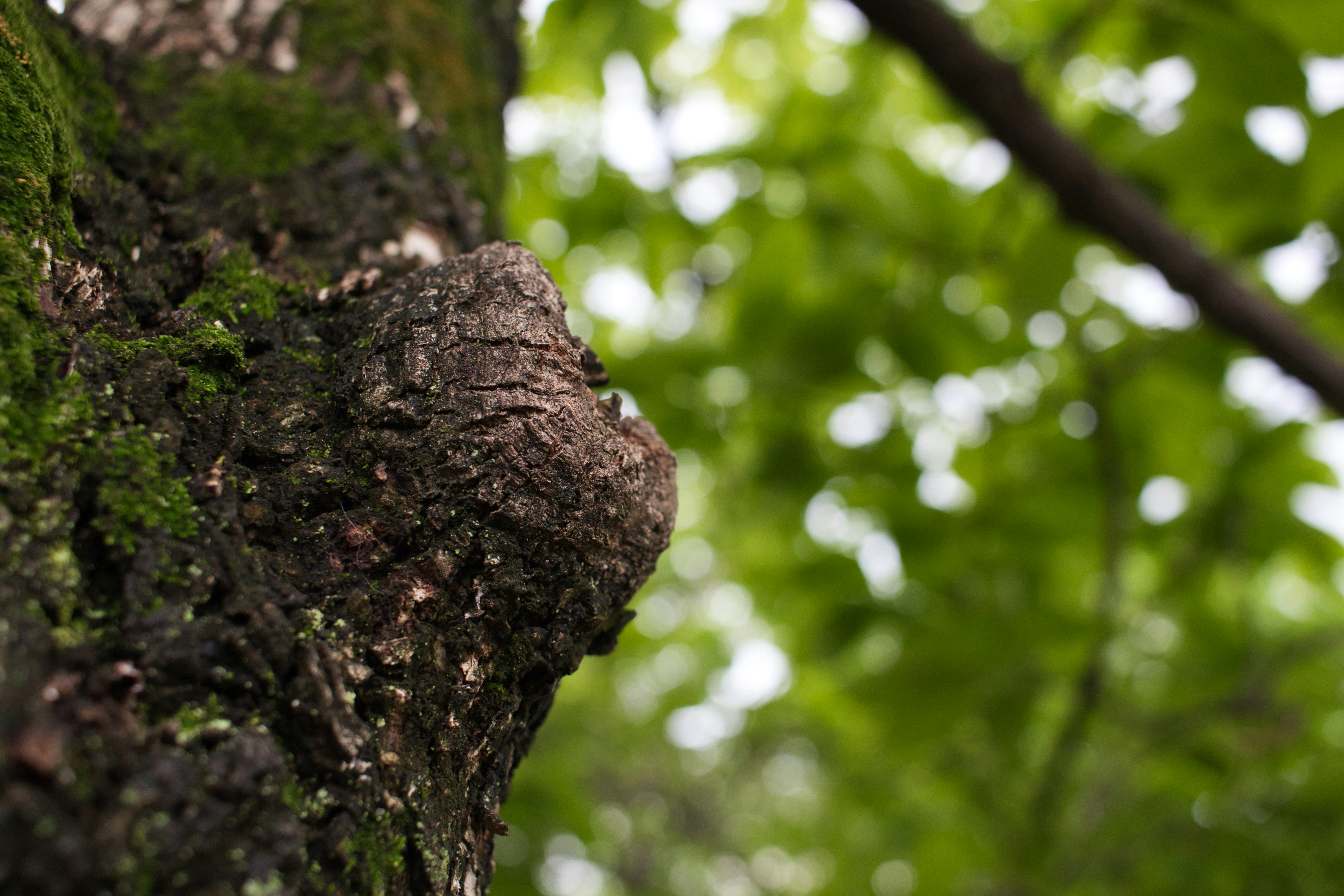 Photo by mcgrapher_enterprises