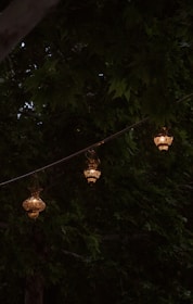 Outdoor lanterns casting warm light over a garden path at dusk.