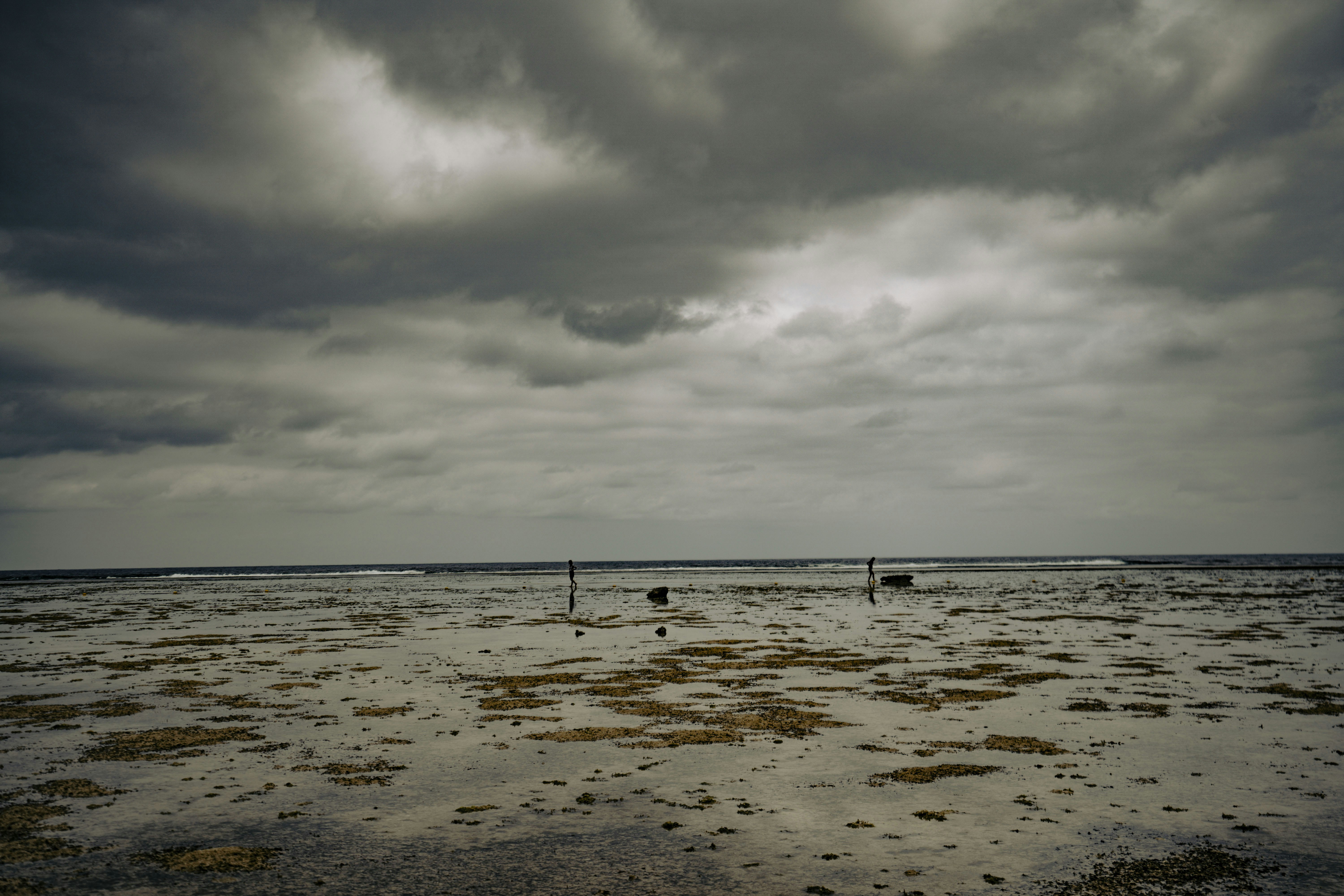 Photo by litochi_graphy