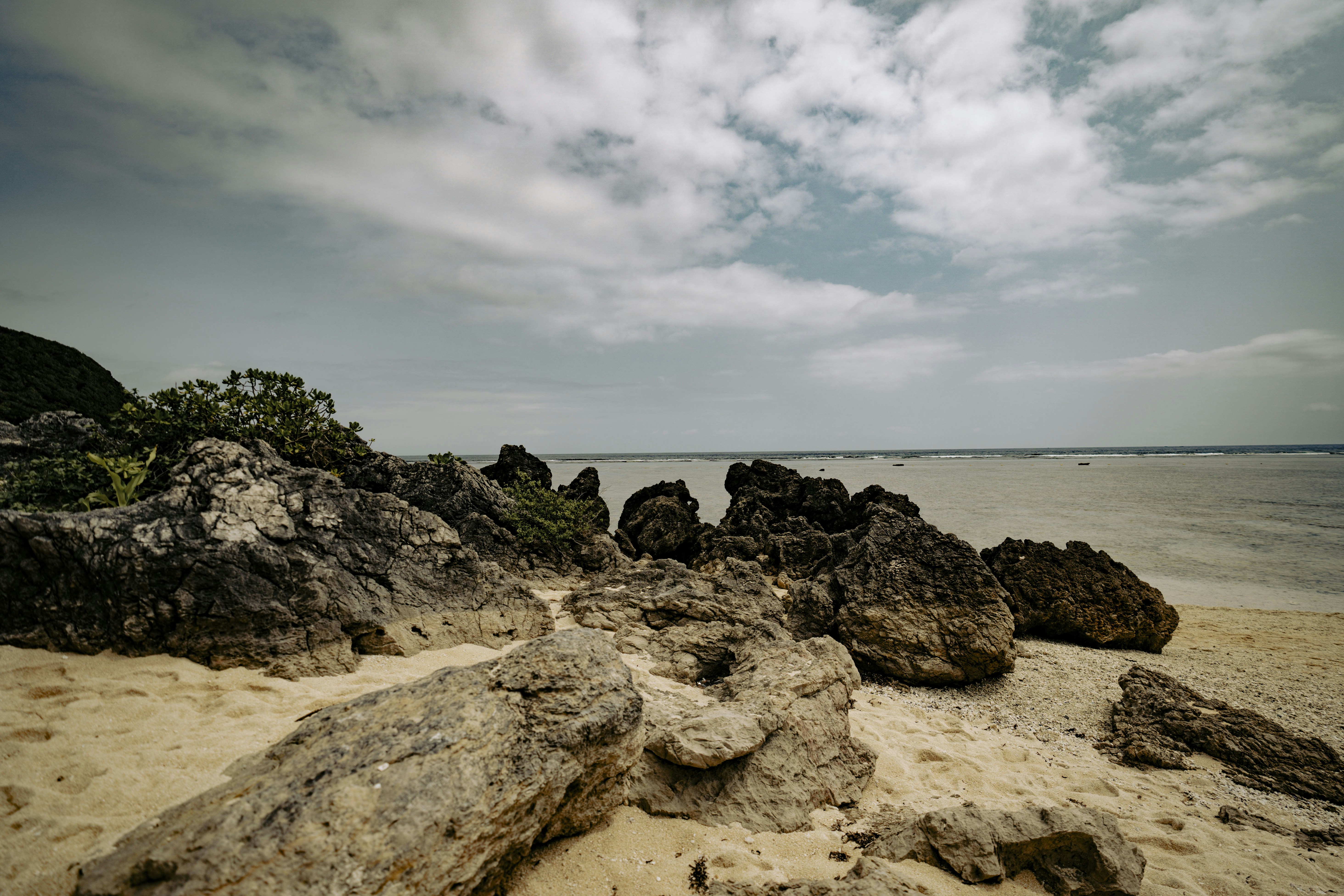 Photo by litochi_graphy