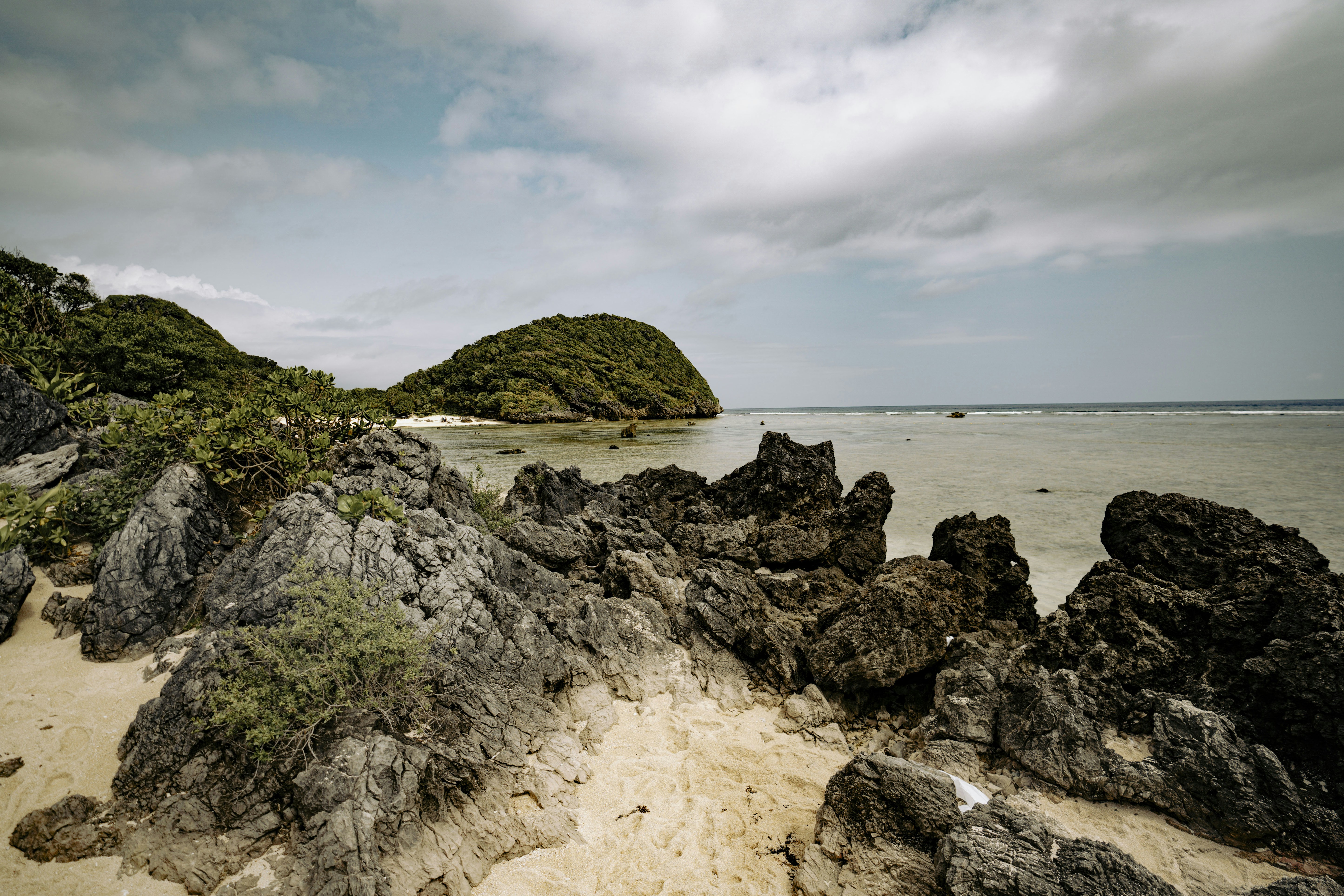 Photo by litochi_graphy