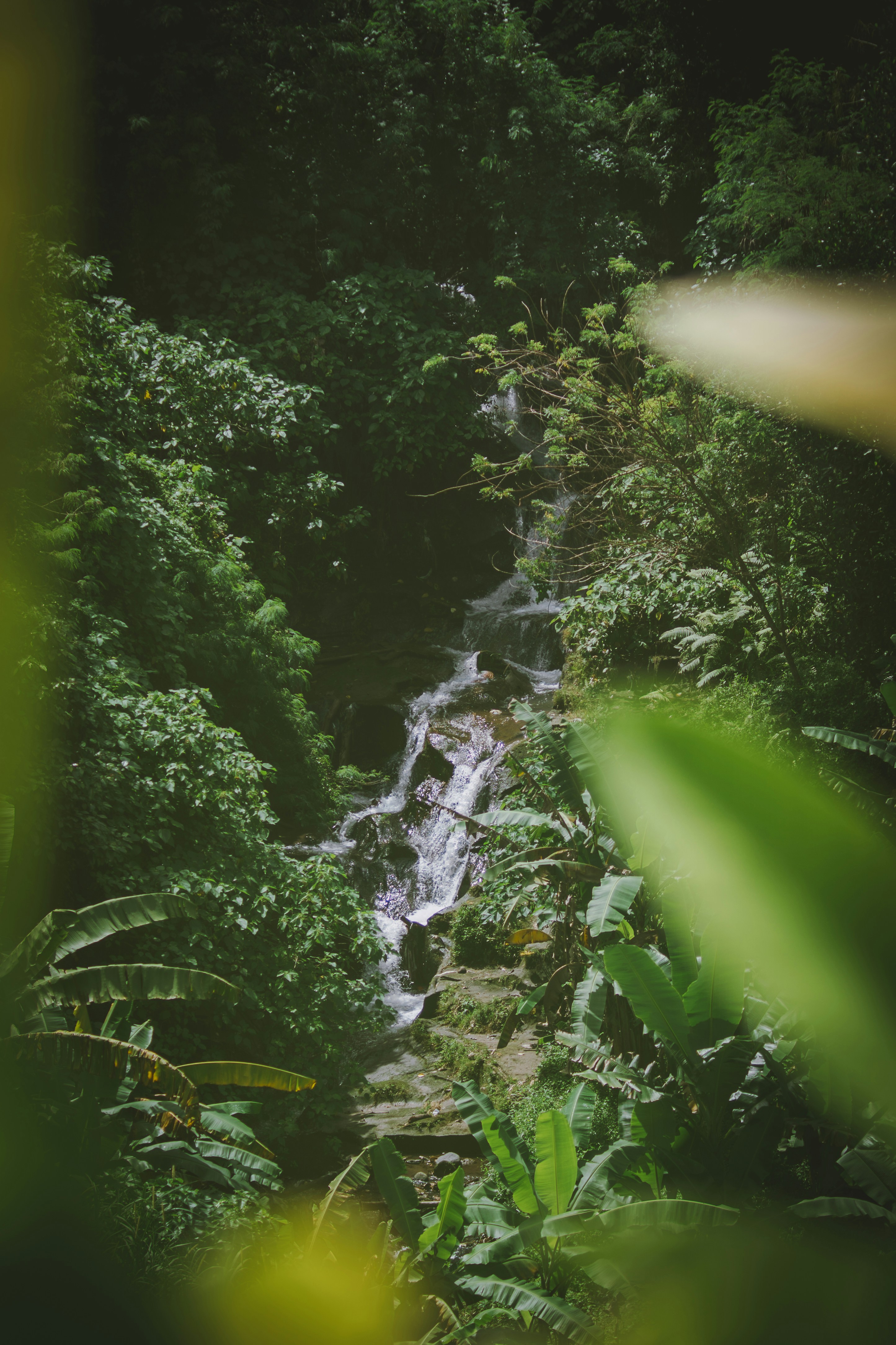 Photo by raunaqsachdev