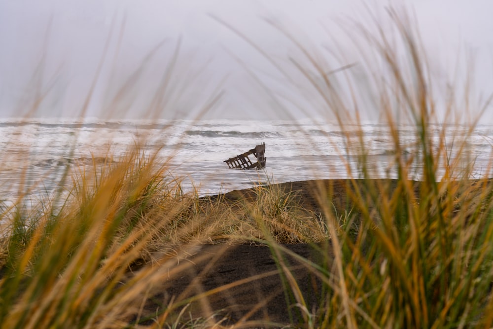 a wooden bench sitting on top of a sandy beach