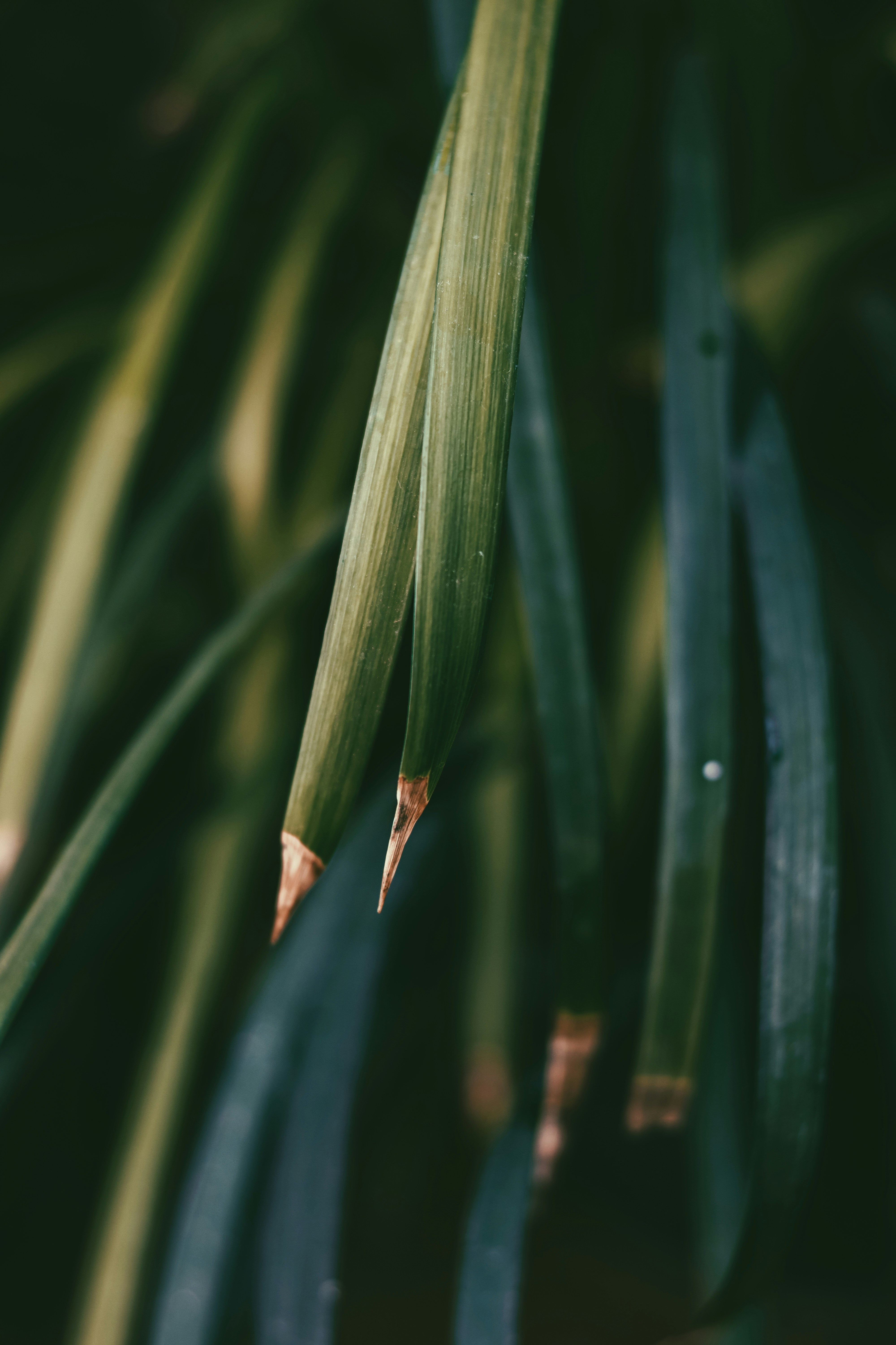 Photo by dhilipantony