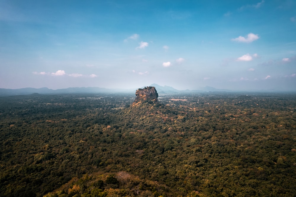 an aerial view of a forest with a mountain in the background