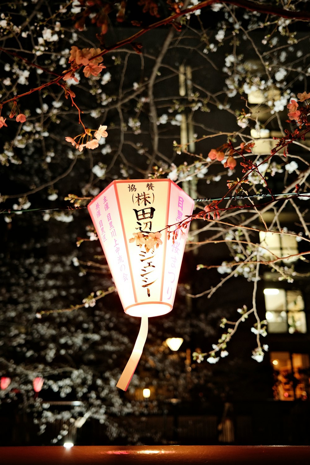 a paper lantern hanging from a tree at night