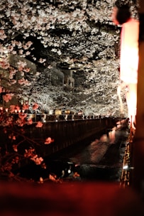 A serene cherry blossom tree framing a bustling Tokyo street scene at dusk.