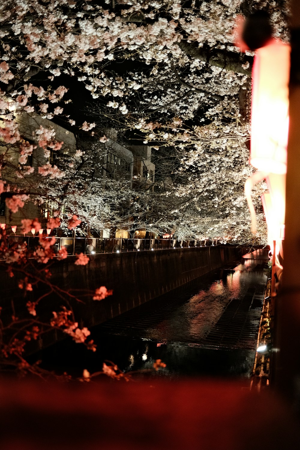 a view of a river and trees at night