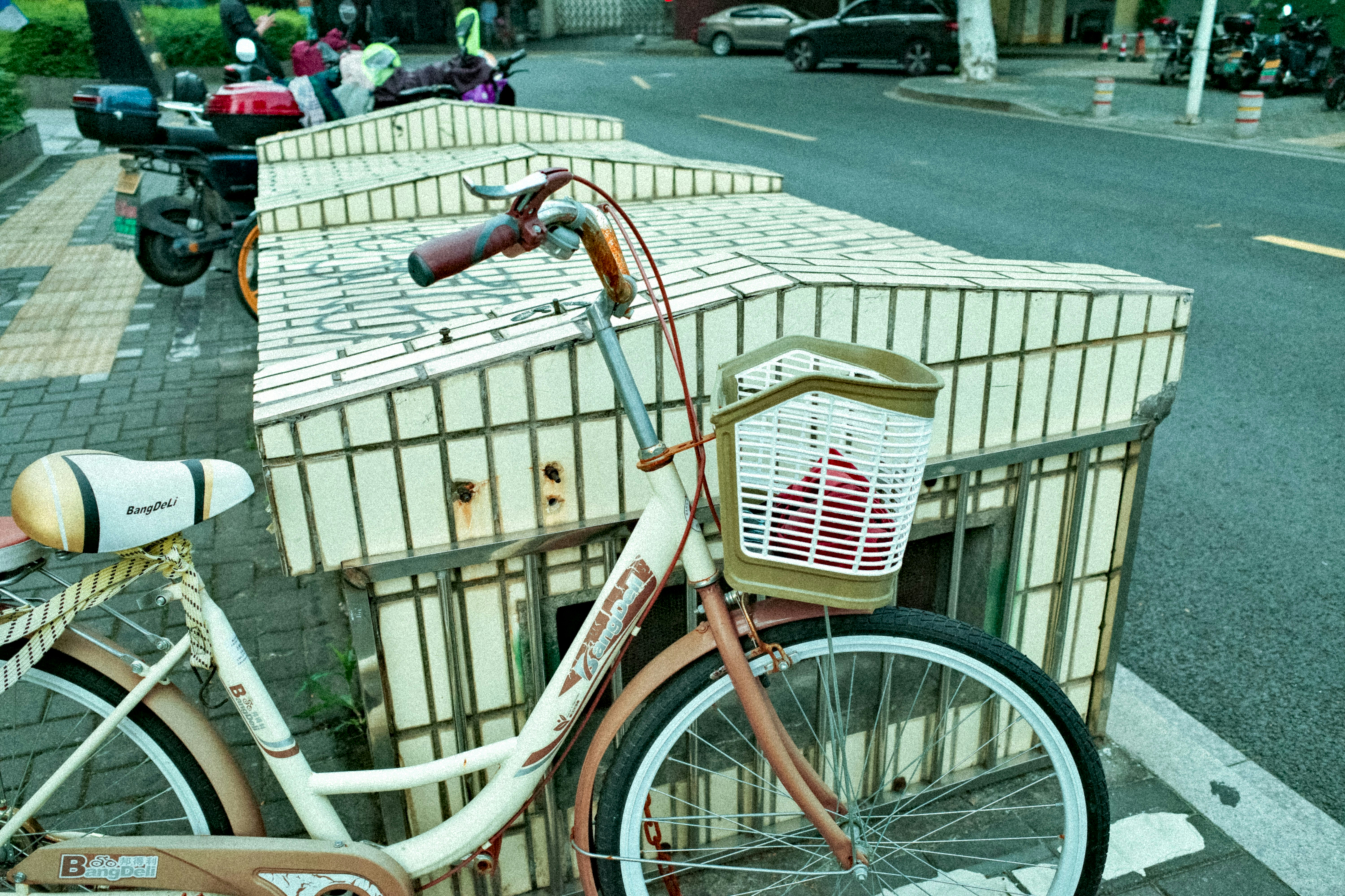 Photo by C Cai
