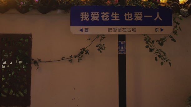 A street sign with Chinese text is mounted on a post. The background features a wall with decorative foliage and a small intricate screen on the left. The sign is illuminated by ambient lights above, which cast a warm glow over the scene.