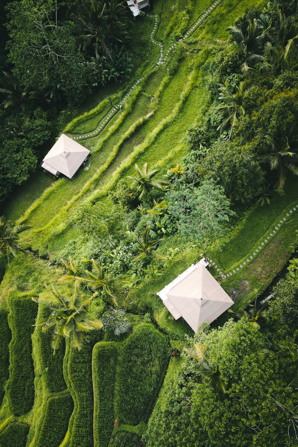 an aerial view of two tents in a lush green field