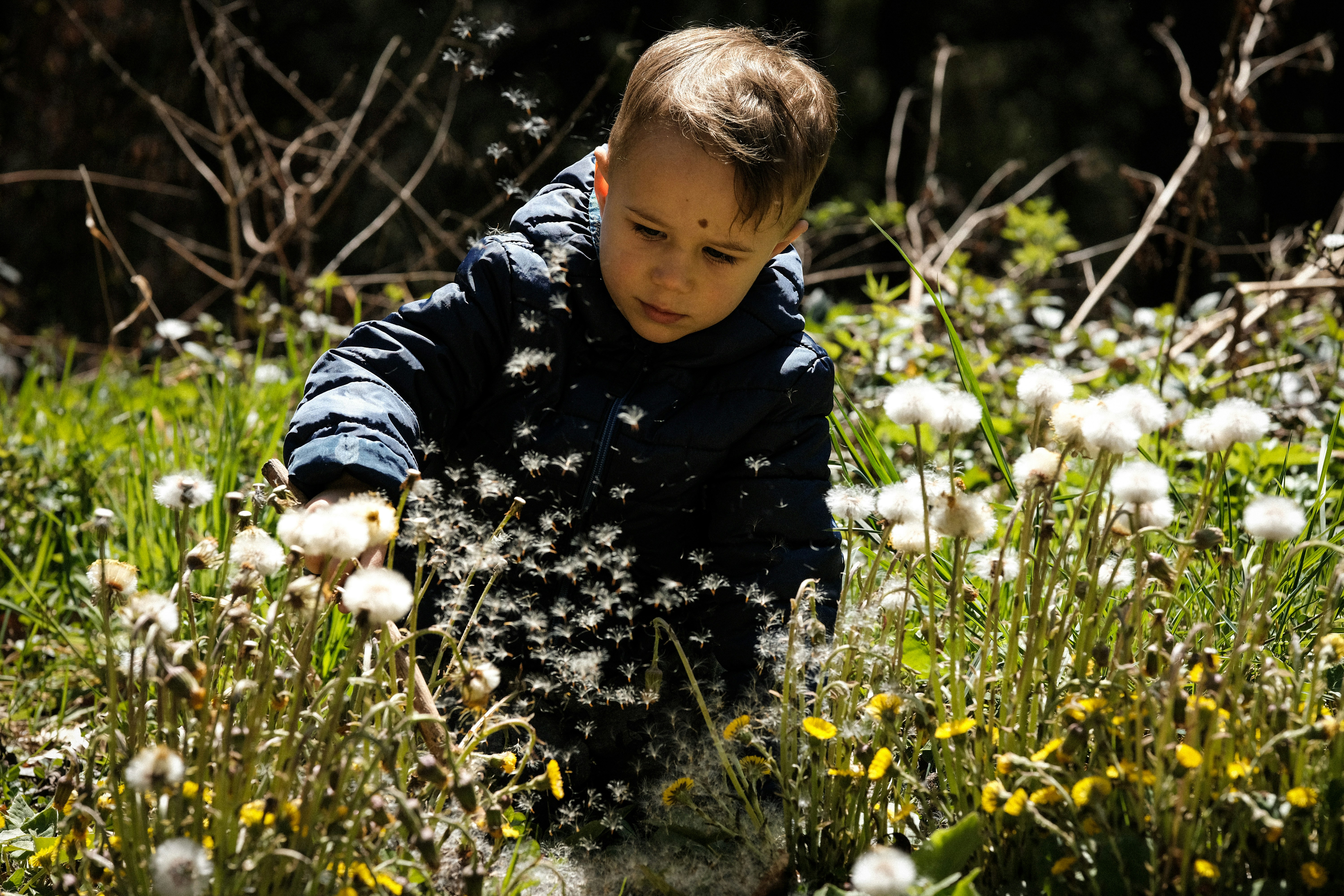 Photo by zband_bahmut