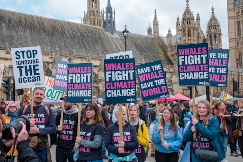 A group of people, including women and men, stand together holding signs that advocate for environmental awareness, specifically related to ocean conservation and climate change. The signs carry messages like 'Stop Ignoring the Ocean' and 'Whales Fight Climate Change'. The gathering is taking place in front of an old, grand building with a Gothic architectural style.