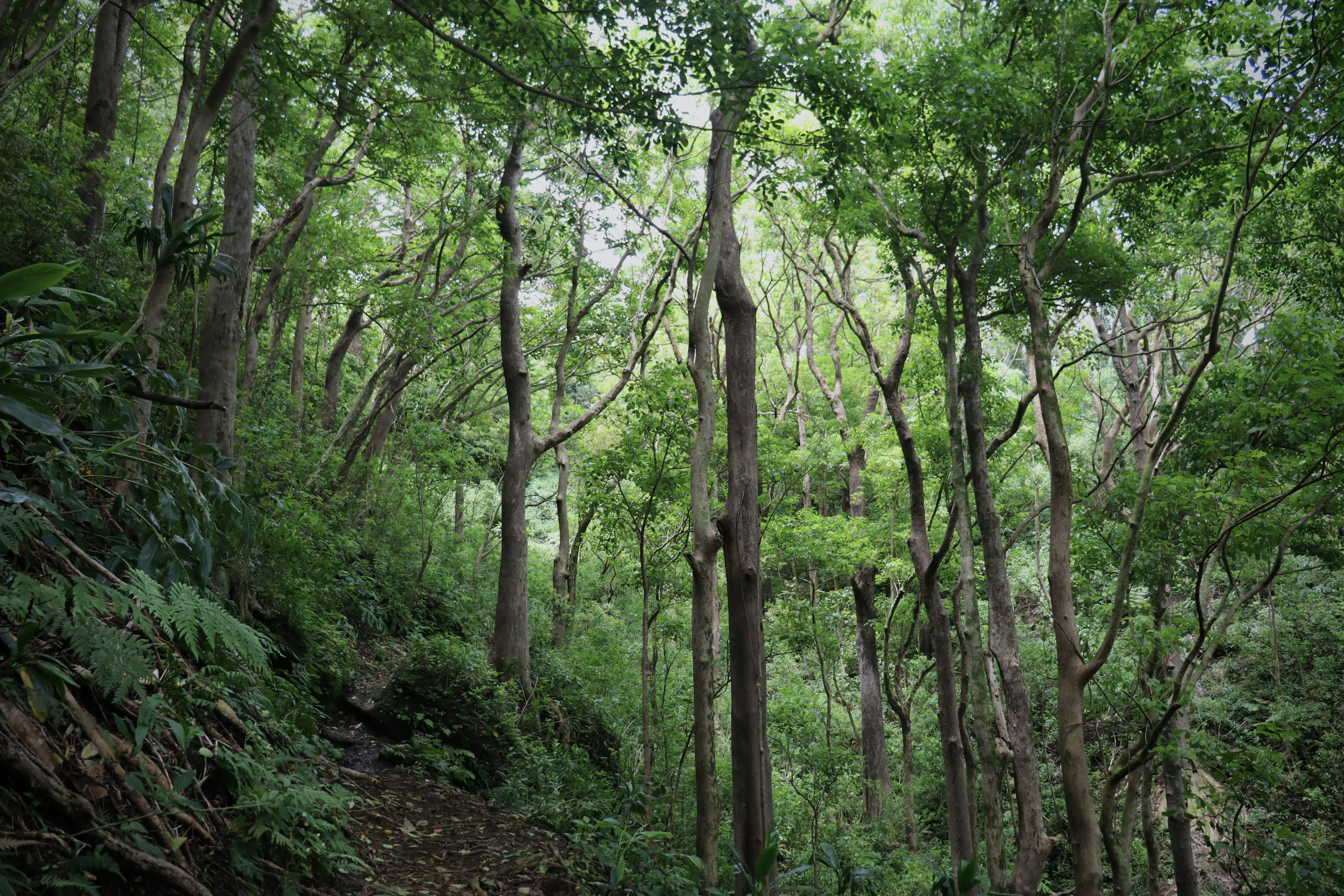 Photo by josh3rsmith