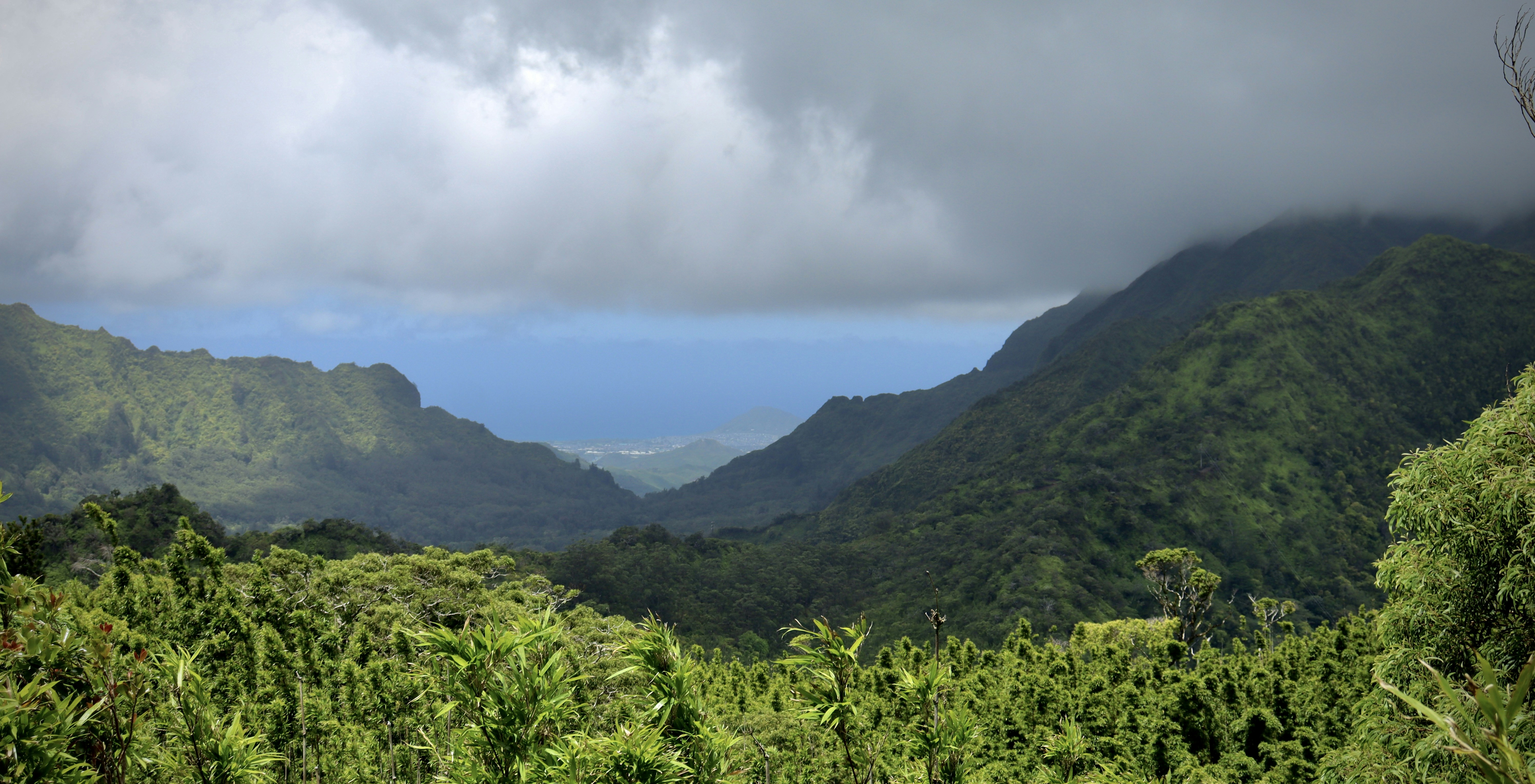 Photo by josh3rsmith