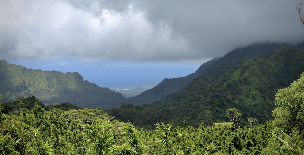 a view of a mountain range from a distance