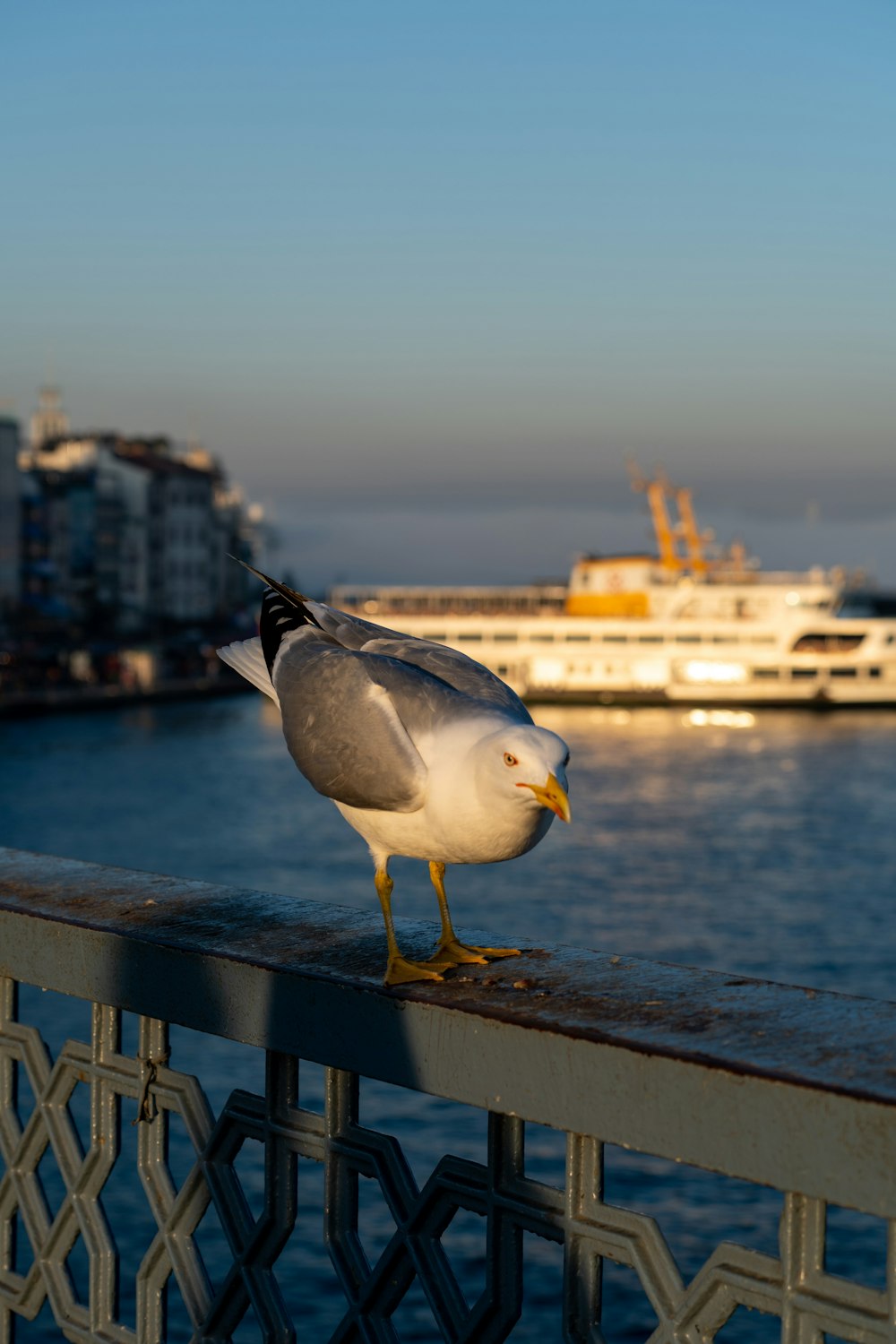 a seagull is standing on a railing near a boat