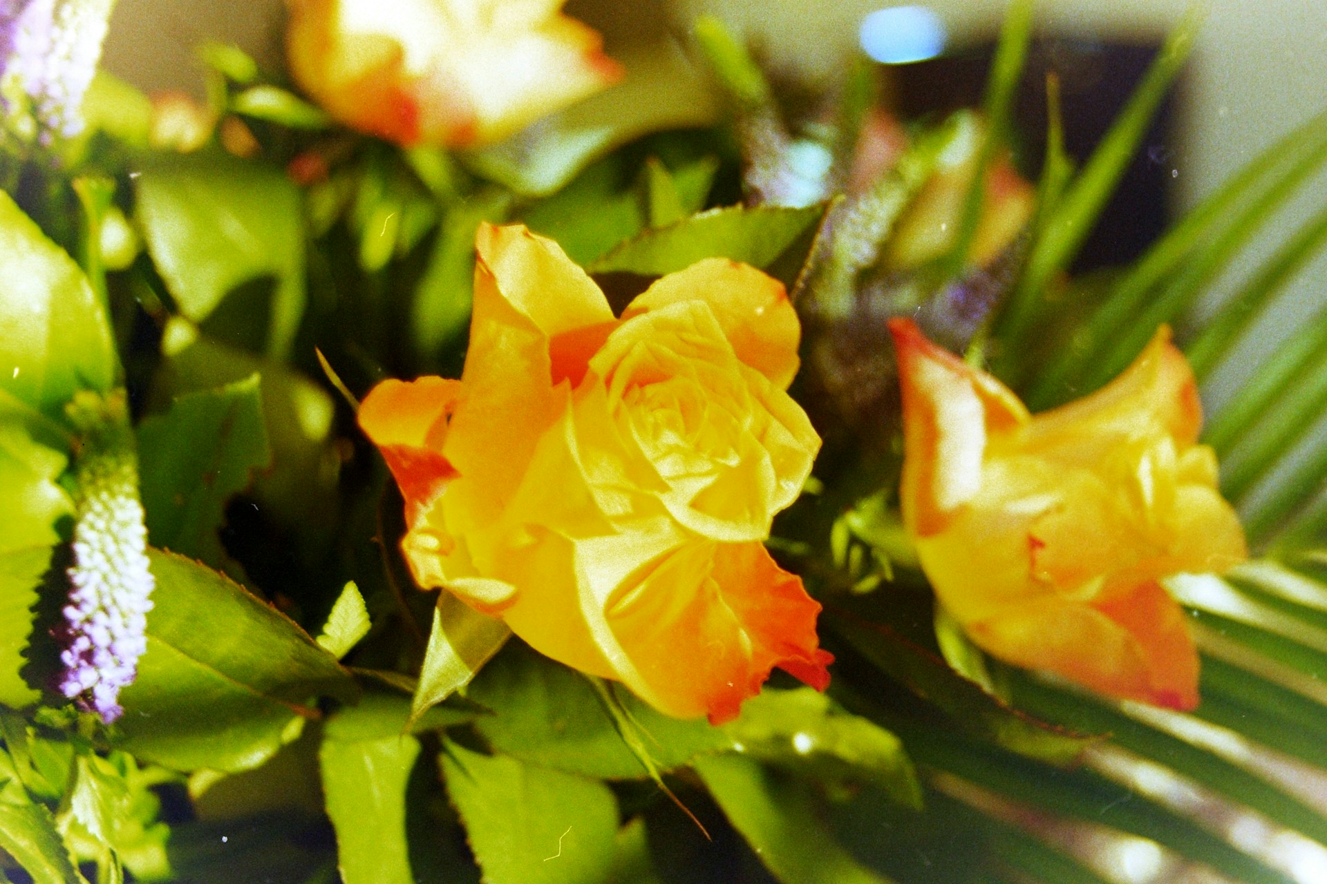 a bunch of flowers that are sitting on a table