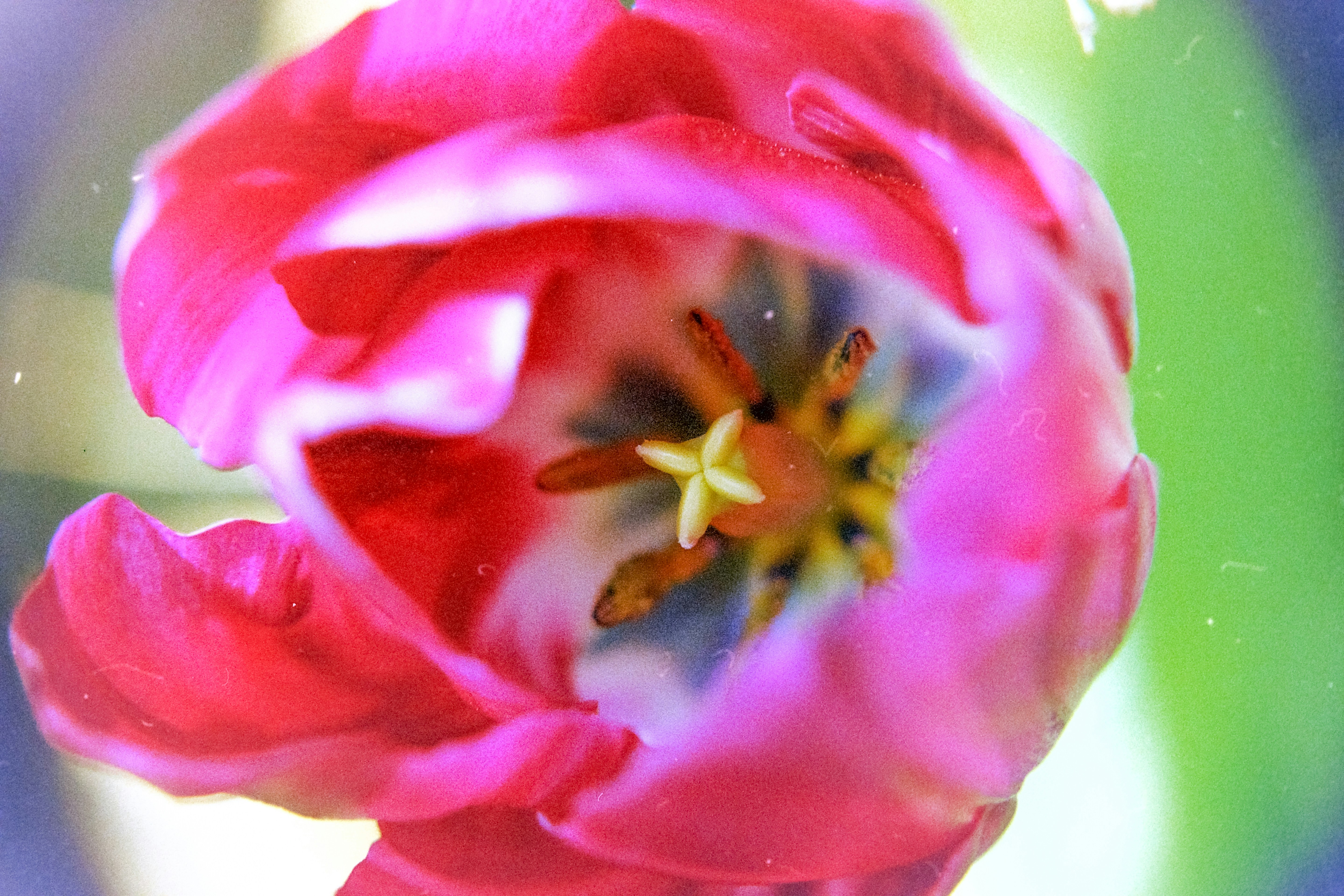 Photo by artistseyes