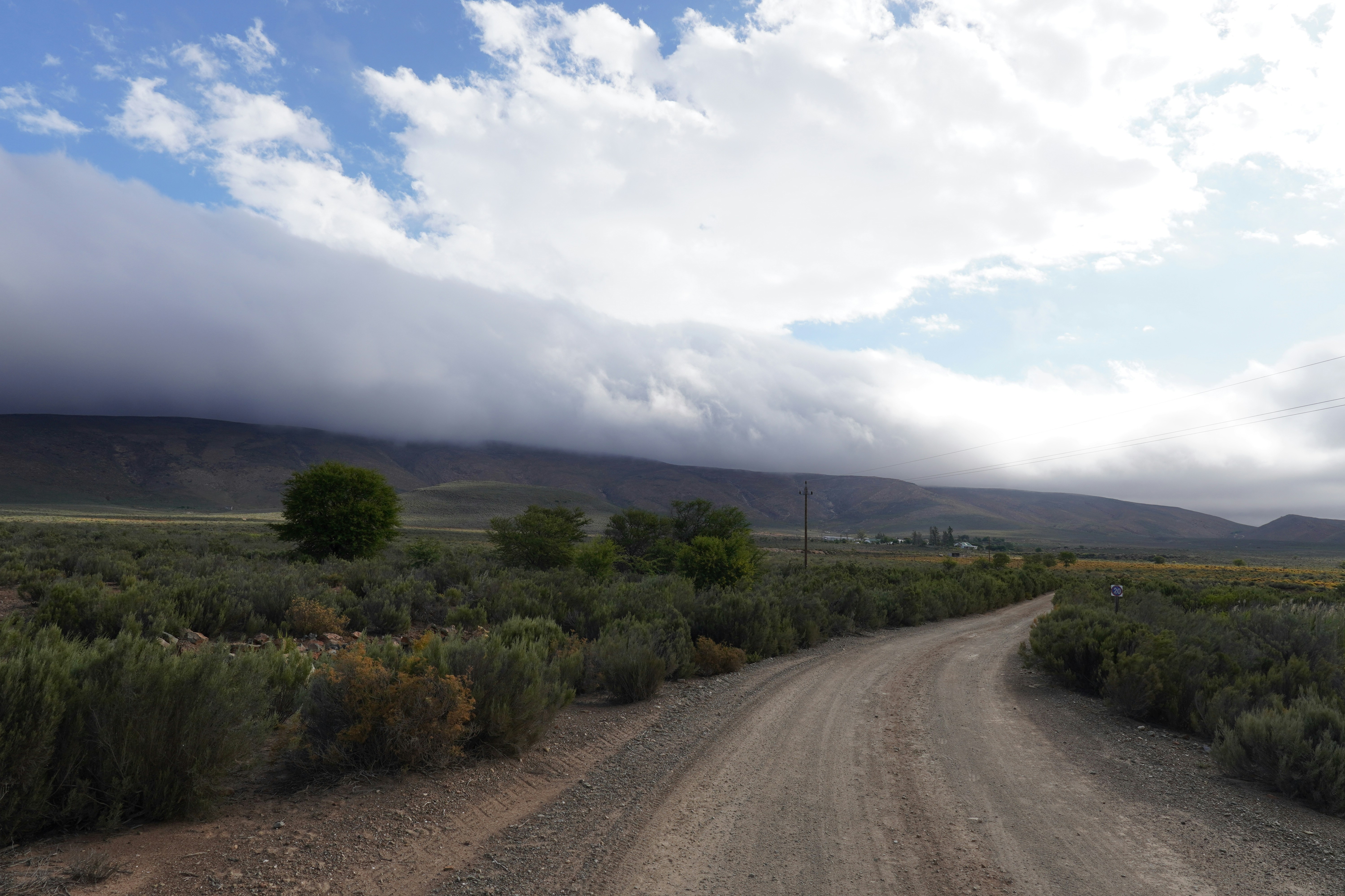 Photo by palmtree_society