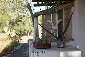 A rustic wooden structure partially covered with weathered planks. Decorative elements including large horns and potted succulents are displayed on a ledge. The background features a desert landscape with cactus plants, bushes, and trees.