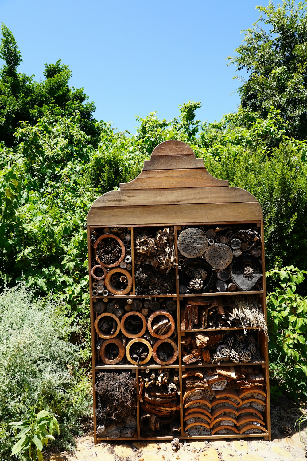 une structure en bois assise au milieu d’une forêt