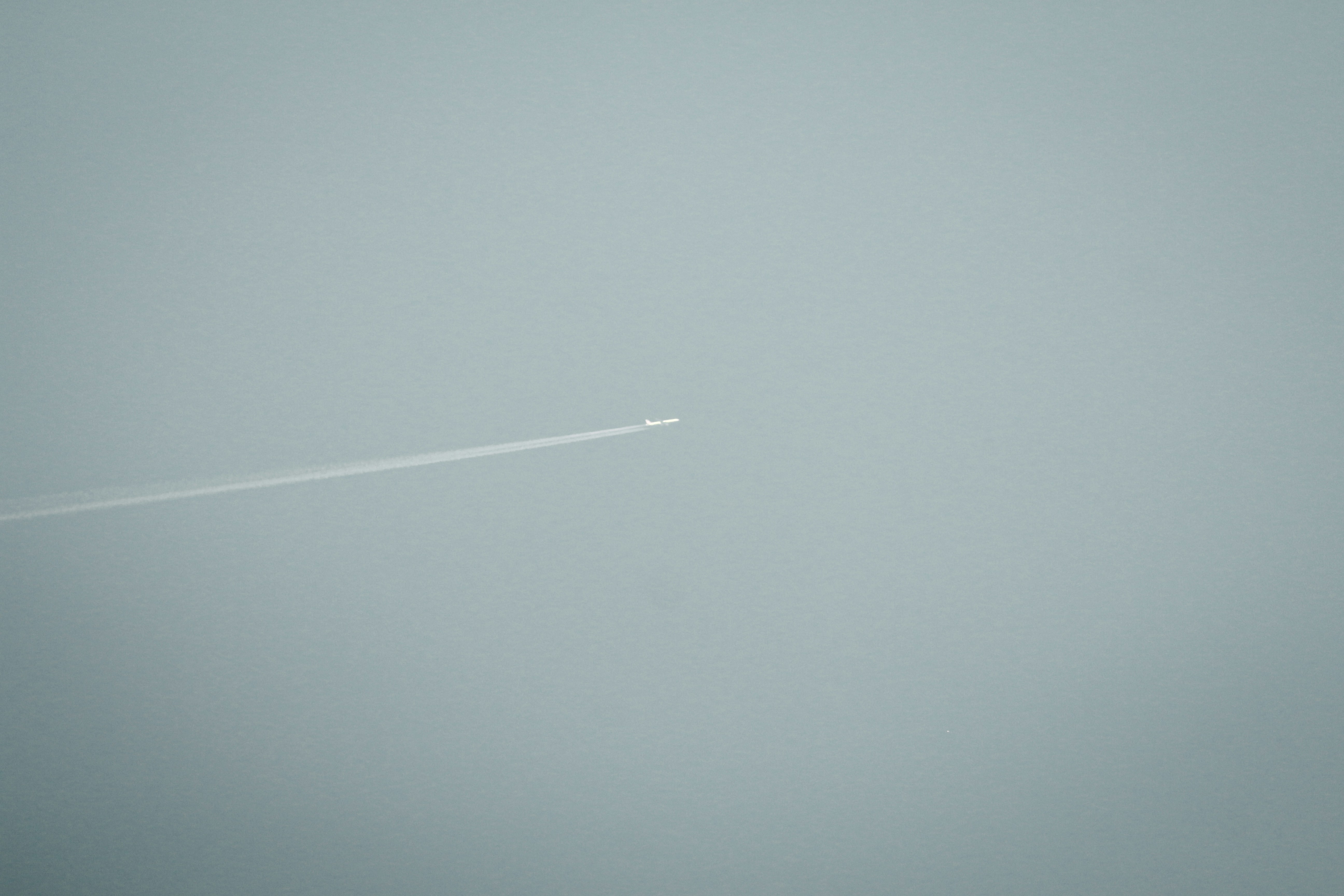 photo-1682334849021-acf1c7b9f9e7?ixid=M3wxMjA3fDB8MXxzZWFyY2h8MjB8fGhpZ2hzdGFrZXN3ZWVwcyUyMG9ubGluZXxlbnwwfHx8fDE3NTYwNTM0MTB8MA\u0026ixlib=rb-4.1.0