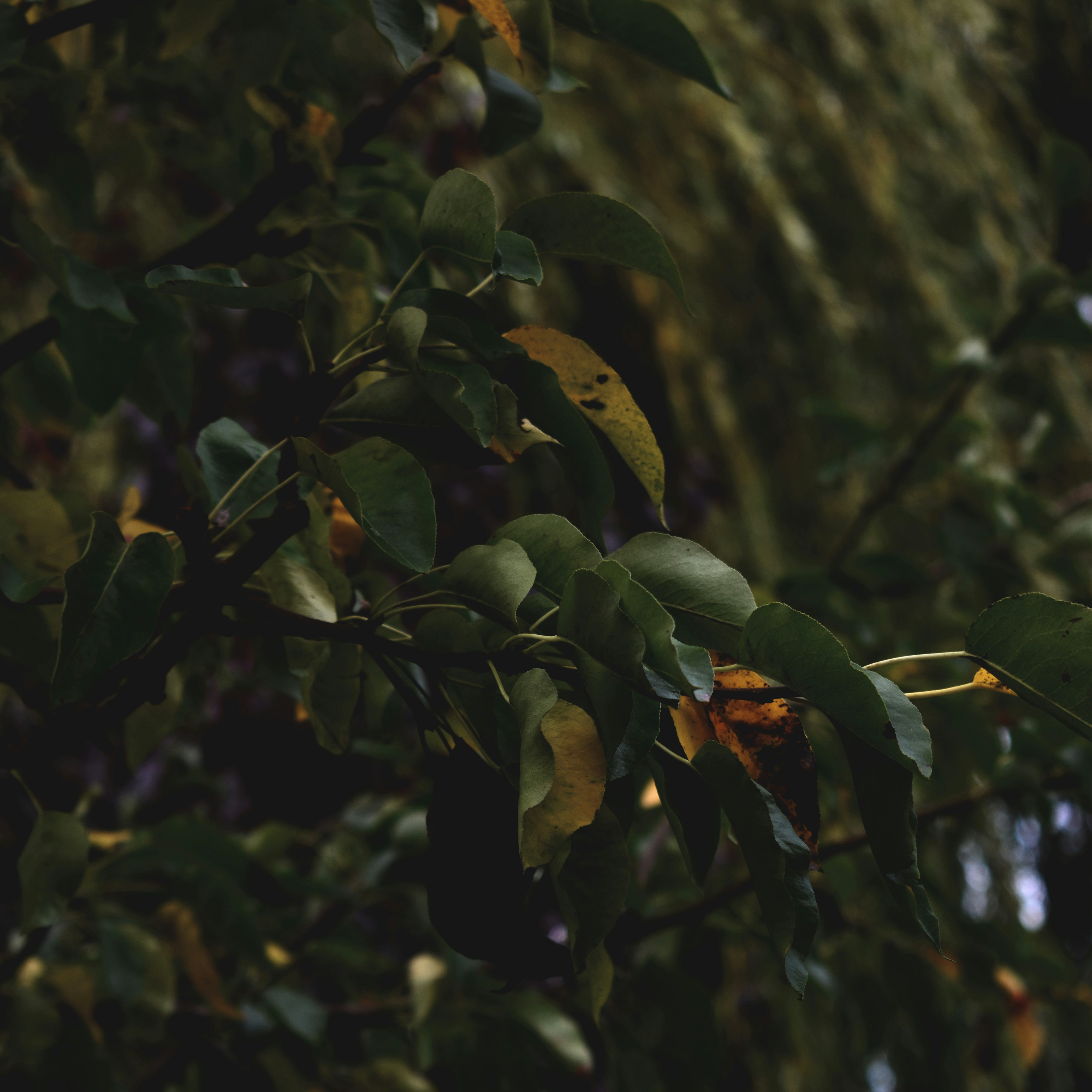 Photo by ericahelgesson