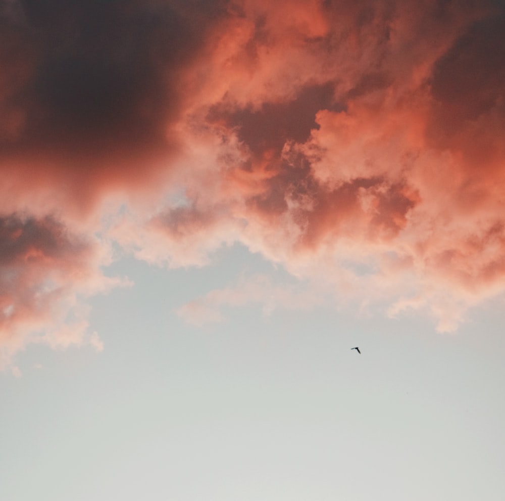 a bird flying in the sky at sunset